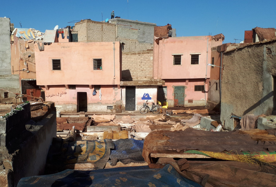 a tannery in Marrakesh